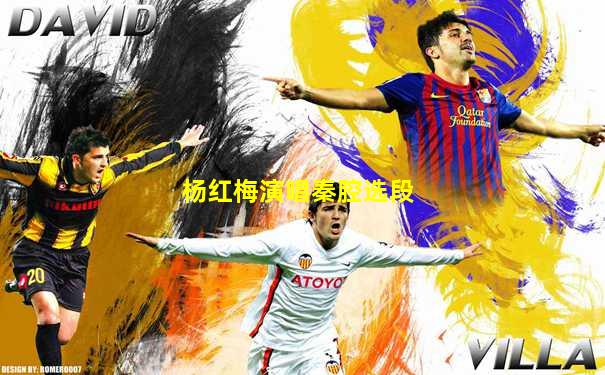杨红梅演唱秦腔选段