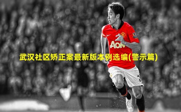 武汉社区矫正案最新版本例选编(警示篇)