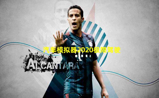 汽车模拟器2020极限驾驶