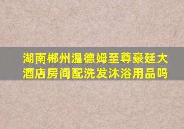 湖南郴州温德姆至尊豪廷大酒店房间配洗发沐浴用品吗
