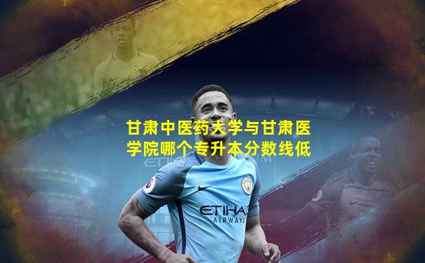 甘肃中医药大学与甘肃医学院哪个专升本分数线低