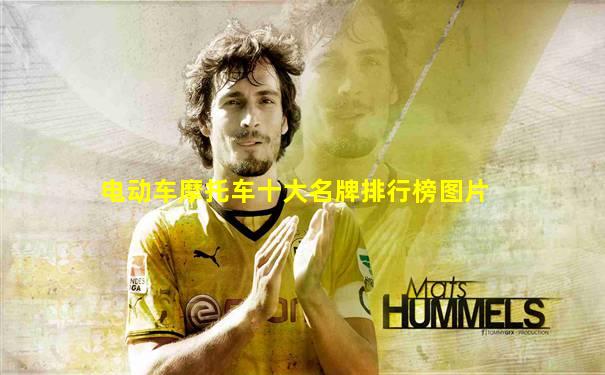 电动车摩托车十大名牌排行榜图片