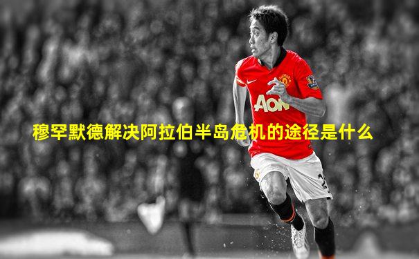 穆罕默德解决阿拉伯半岛危机的途径是什么