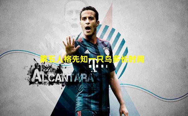 第五人格先知一只鸟多长时间