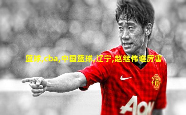 篮球,cba,中国篮球,辽宁,赵继伟谁厉害