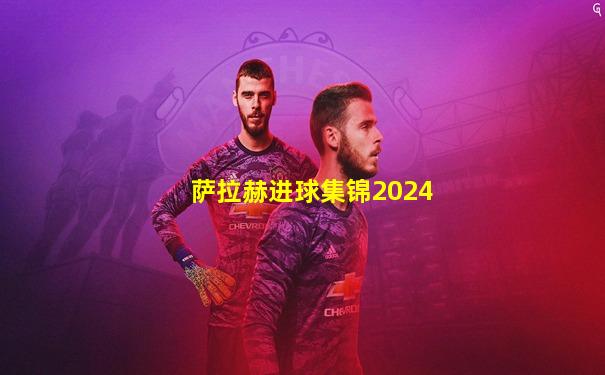 萨拉赫进球集锦2024