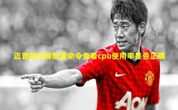 迈普路由器配置命令查看cpu使用率是否正确