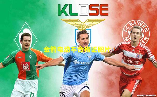 金箭电动车合格证图片