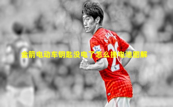 金箭电动车钥匙没电了怎么换电池图解