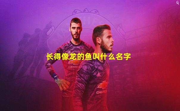 长得像龙的鱼叫什么名字