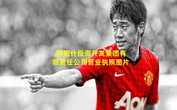 阿图什投资开发集团有限责任公司营业执照图片