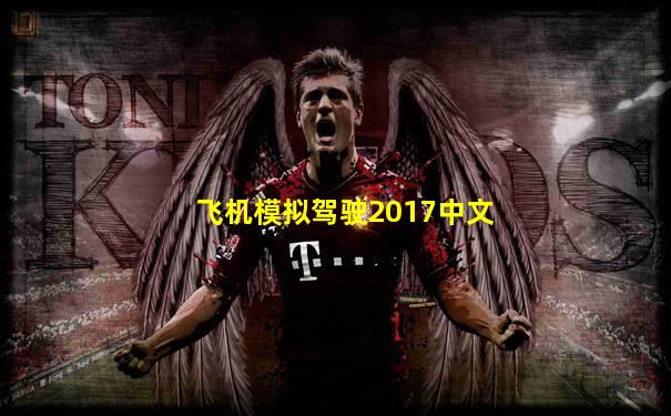 飞机模拟驾驶2017中文