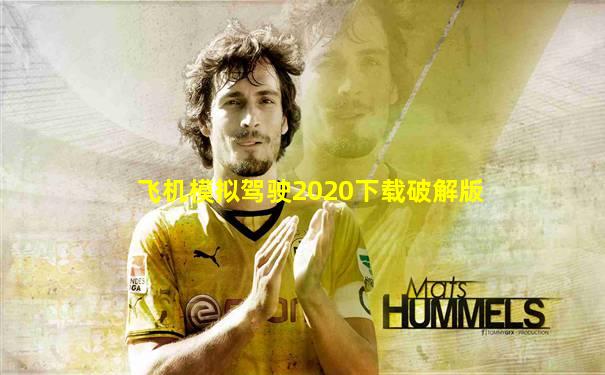飞机模拟驾驶2020下载破解版