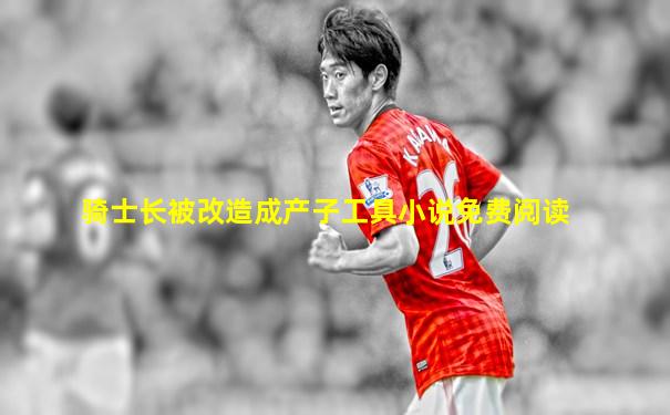 骑士长被改造成产子工具小说免费阅读